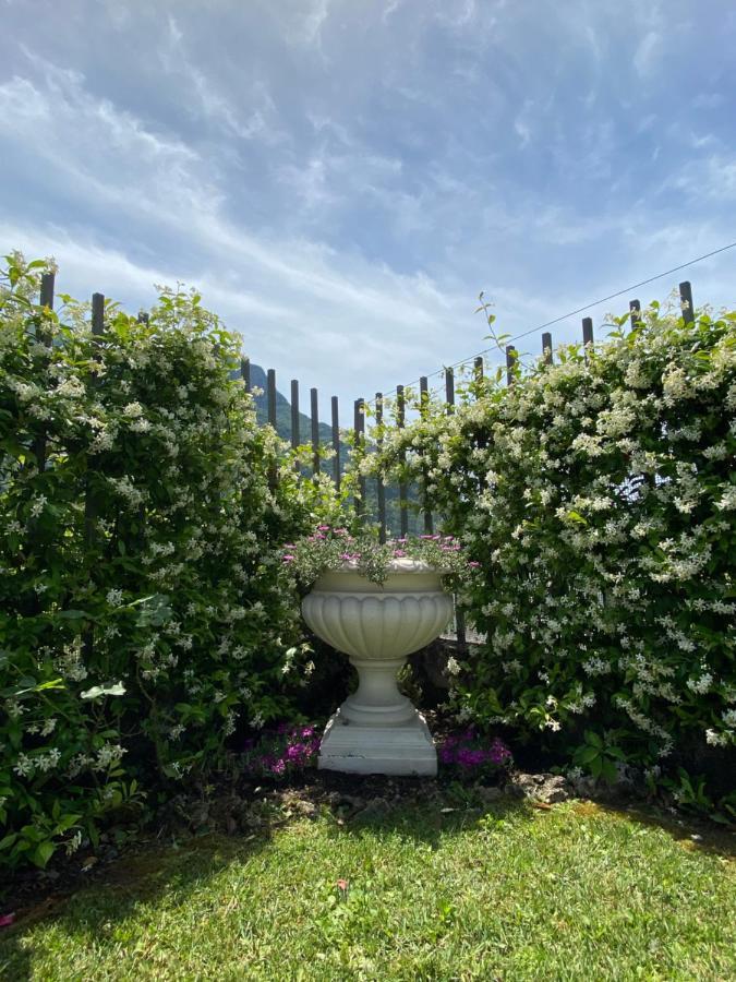Maison Morandi Spinone Al Lago 외부 사진